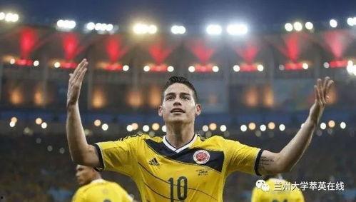 吃瓜世界杯美国,激情赛事背后的趣味解读