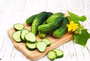 吃瓜群众种植物,揭秘吃瓜群众种植物的魅力