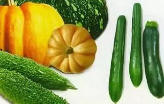 云瓜是葫芦瓜吗怎么吃