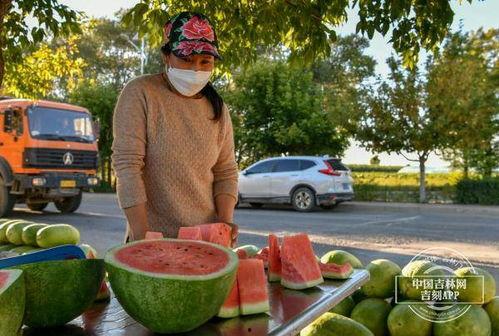 洮南吃瓜,探寻东北特色美食之旅